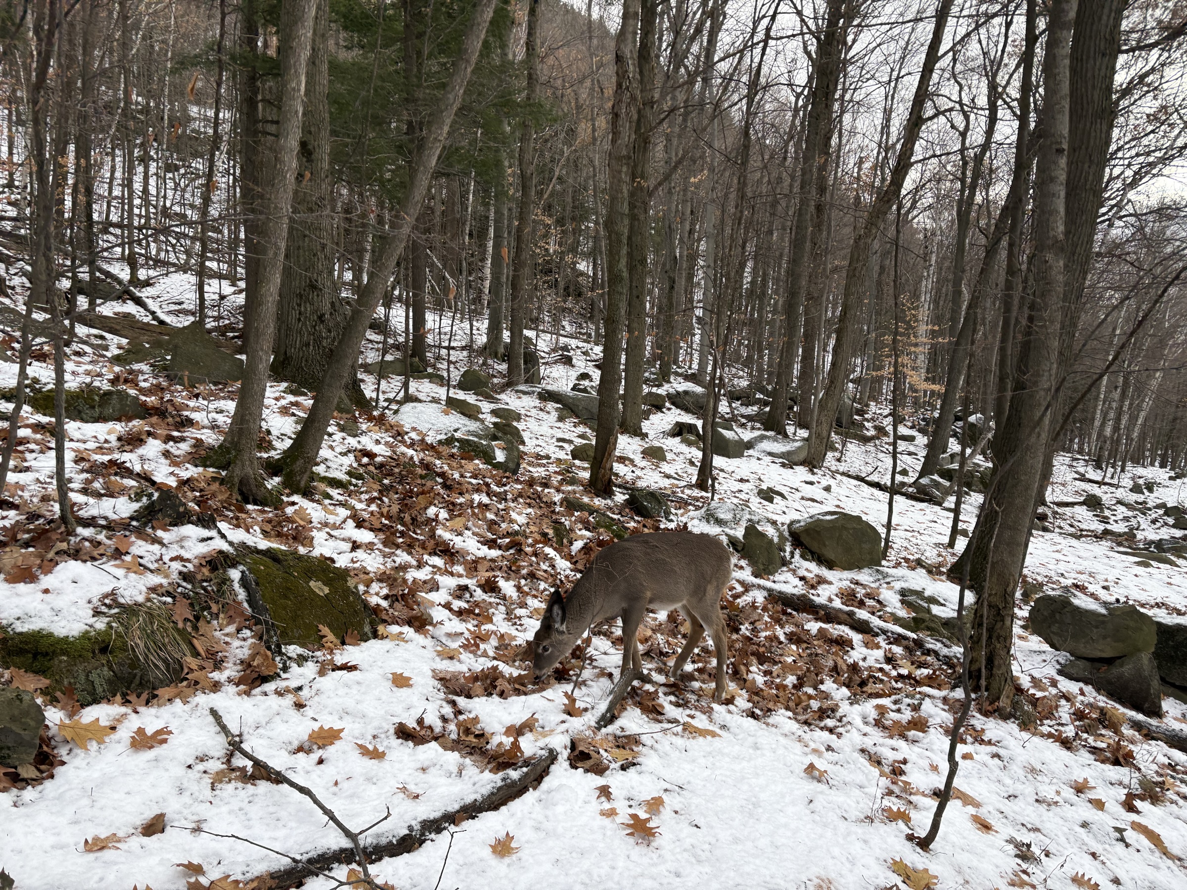 Gallery photo captured on December 1, 2025.