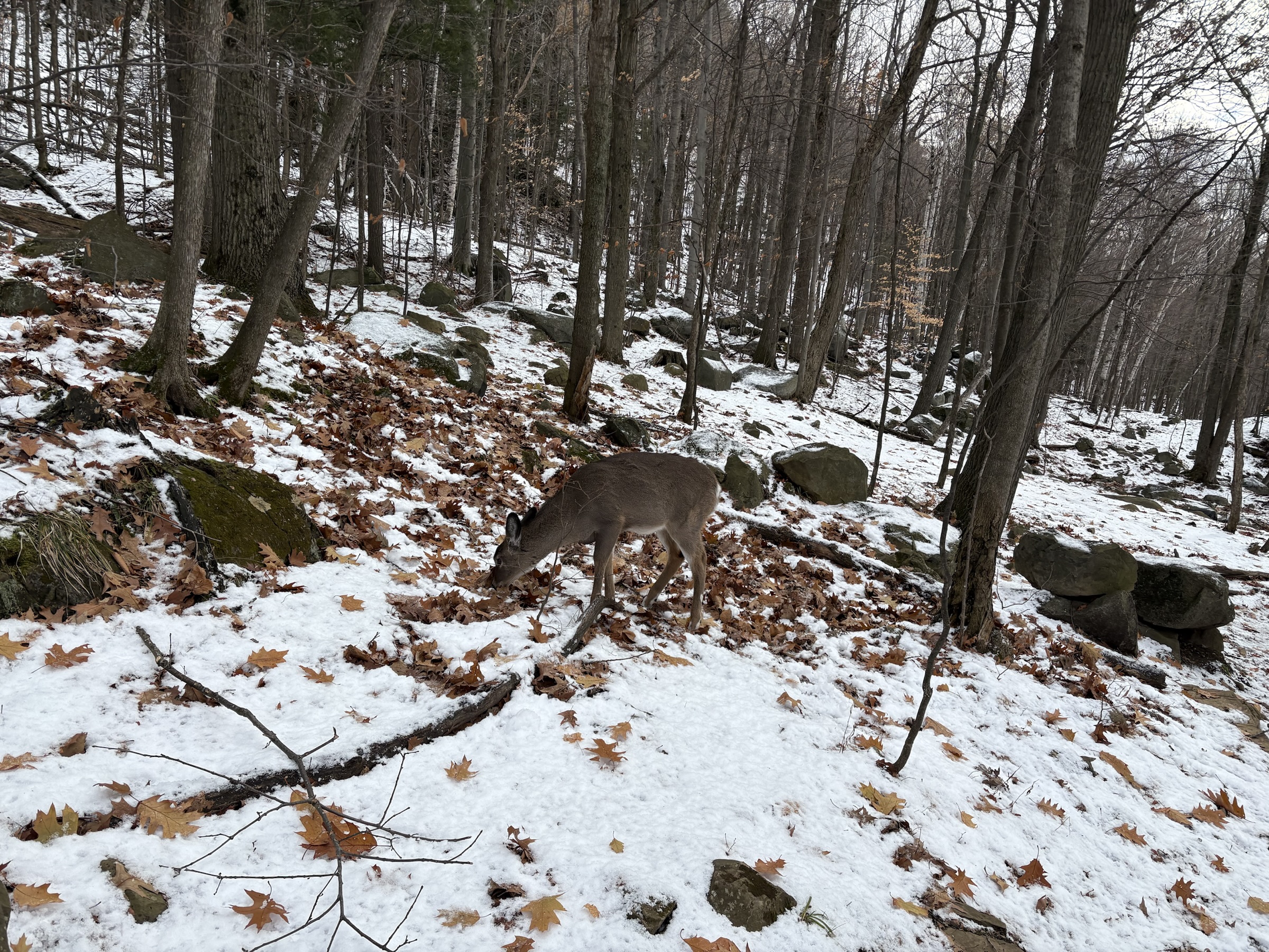 Gallery photo captured on December 1, 2025.